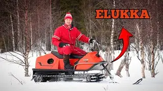 TERHI 10 KULKEE HANGEN PÄÄLLÄ KUIN ELUKKA!