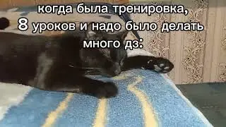 жизненная жиза #мем #подпишись #прикол #ржака