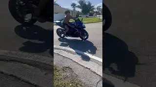 Got another gixxa 🦑