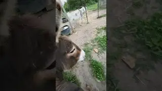 My ass isn’t gonna itch itself