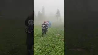 Риддер - туман, горы , поход 😍