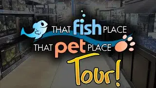 Local Fish Store Tour - That Fish Place That Pet Place | LARGEST IN THE USA | Lancaster, PA