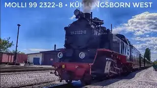Molli 99 2322-8 - Ausfahrt in Kühlungsborn West