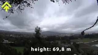 Climbing a big red Sequoia Tree