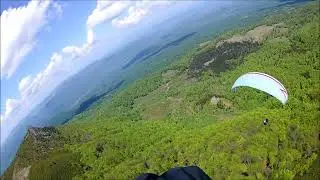 Creasta Cocosului Fly