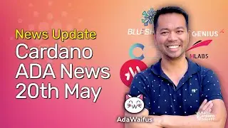 Cardano ADA News Updates - 20th May 2022