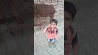 So cute