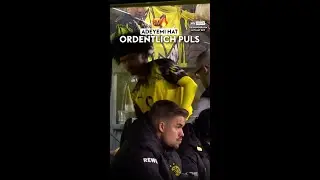 Adeyemi musste nach seiner Auswechslung von Sebastian Kehl beruhigt werden! 😳