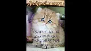 Слова Булгакова о думании, или об уме