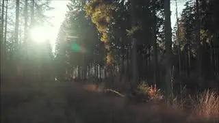 Pastures