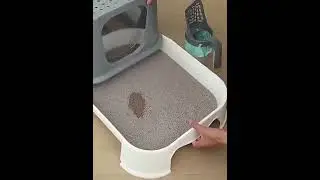 Cat Litter Scoop
