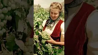 Деревня/ СССР/ Друзья/ Воспоминания/ Прошлое
