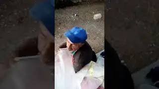 Бомж