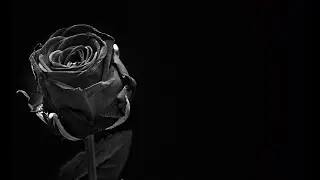 Maria Daines ~ I Will Wear Black