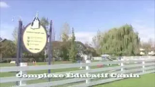 VIDEO COMPEXE EDUCATIF CANIN