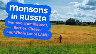 MONSONS in IVANOVO. Bumblebees, Berries, Cheese and Whole Lot of LAND