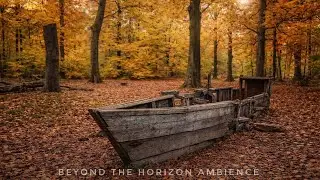 Autumn Forest Walk | Relaxing ASMR Nature Walk in Berlin's Plänterwald