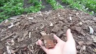 Траншея для ГОЛУБИКИ . Устройство дренажа.