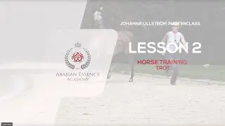 Johanna Ullstrom Masterclass - Lesson 2