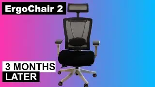 ErgoChair 2 [ft. Herman Miller Aeron] - 3 Months Later