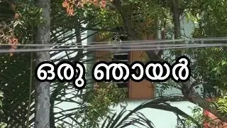 ഒരു ഞായർ | voiceover 🎙️ tropical garden making