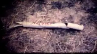 Spoonts Old Home Movies, DVD 6, Volume 3 (Model Rockets, post-mortem)..