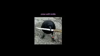 crow with knife 🔪 - $CAW CRONOS MEMECOIN - Epic!
