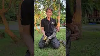 ลุยดิบ EP.134 สั่งงูโคตรดุให้หลับ เรื่องจริงที่ไม่น่าเป็นไปได้