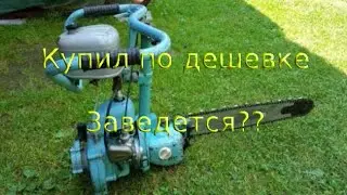Бензопила ДРУЖБА. Купил по дешевке. Будет ли работать?