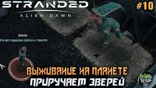 Stranded: Alien Dawn  ➤ Приручение зверей! Сложность Безумие! #10