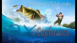 Прикольная РЫБАЛКА, Эх сорвалась!!! Подборка СХОДА рыбы!!!
