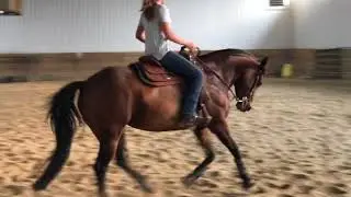 Ariana Gray riding Starlite Parr Jet  - Circles