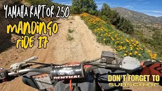 Yamaha Raptor 250 Mandingo Ride 17