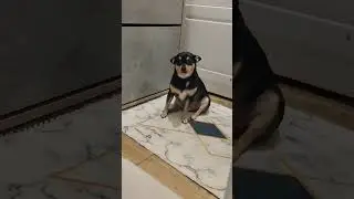 доброе утро ❤️