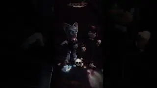 Шедоу и Руж (SHADOW BLACK HEARTED HERO) Соник 4 🤔
