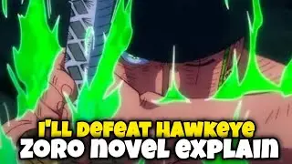 Zoro's Novel Explanation | I Will Defeat Hawkeye 🎭