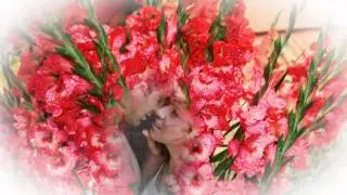ДЛЯ ТЕБЯ МОЯ ЛЮБИМАЯ
