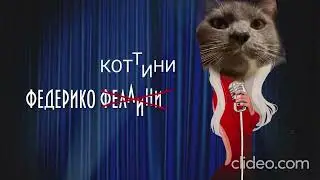 федерико котини