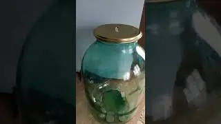 Копилка из трёх литровой банки!