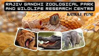 Zoo | Rajiv Gandhi Zoological Park (Pune)