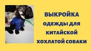 Выкройка одежды для китайской хохлатой собаки.