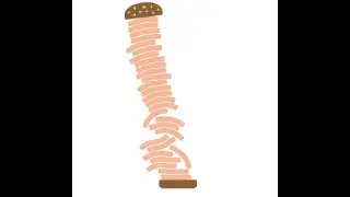 BURGER STACKING WORLD RECORD COMES BACK