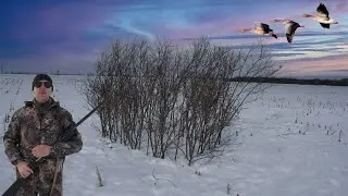 Я В ШОКЕ ОТ ТАКОЙ ОХОТЫ. Делаю шалаш для гусиной охоты 2022