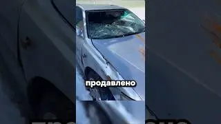 What's the situation with cars in Kamchatka?