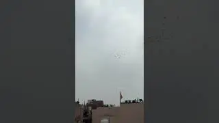 Jatin bhai ka shok 21/09/24🕊️ 5th Pusta gamri Bhajanpura se