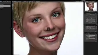 Perfect Portrait 2 - Using the Skin Retouching Pane