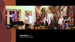 True North -  Tina Dico (Almost Pop Cover)
