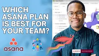 Asana Plans Explained: Find the Best Fit for Your Team