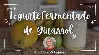 IOGURTE FERMENTADO DE SEMENTE DE GIRASSOL - NaturalMente Receitas