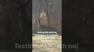 🦌